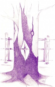 Scannen0323