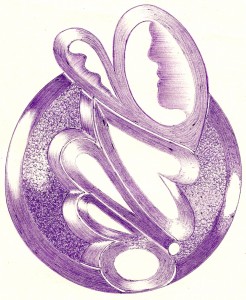Scannen0325