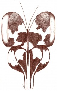 Scannen0453