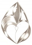 Scannen0822