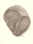 Scannen0842