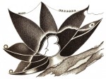 Scannen0855-2
