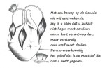 kaart 853