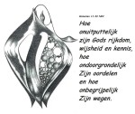 kaart 904