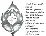 kaart 905