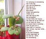 kaart 919
