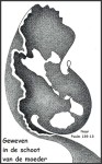 kaart 925