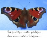 kaart 979