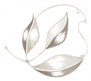 scannen0734