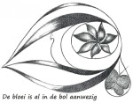 titel 417