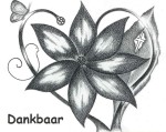 titel 448